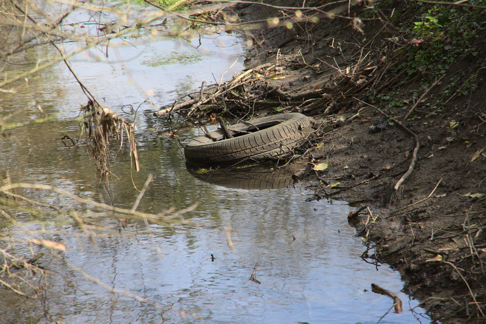 There's a discarded car tyre in the stream from Another Walk on Eye Airfield, Eye, Suffolk - 14th March 2021