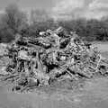 The mystery piles of tree stumps, Another Walk on Eye Airfield, Eye, Suffolk - 14th March 2021