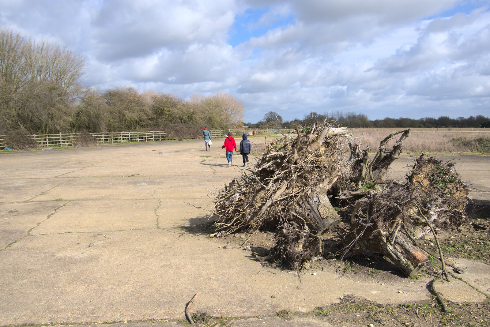 The gang wanders off past the tree stump pile from Another Walk on Eye Airfield, Eye, Suffolk - 14th March 2021