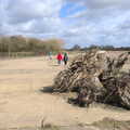 The gang wanders off past the tree stump pile, Another Walk on Eye Airfield, Eye, Suffolk - 14th March 2021