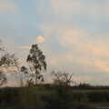 Pink clouds over the garden, The Oaksmere: 28 Weeks Later, Brome, Suffolk - 21st March 2021