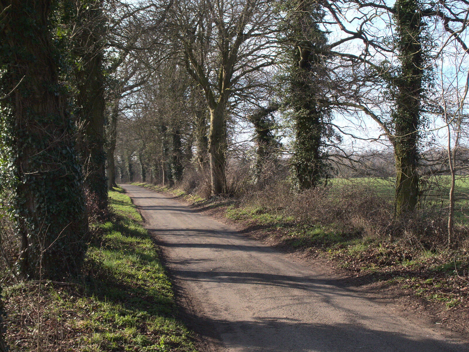 The road to Thornham Parva from A Vaccine Postcard from Harleston, Norfolk - 22nd March 2021