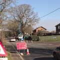 Some tree surgery is occuring near Bellands Way, A Vaccine Postcard from Harleston, Norfolk - 22nd March 2021
