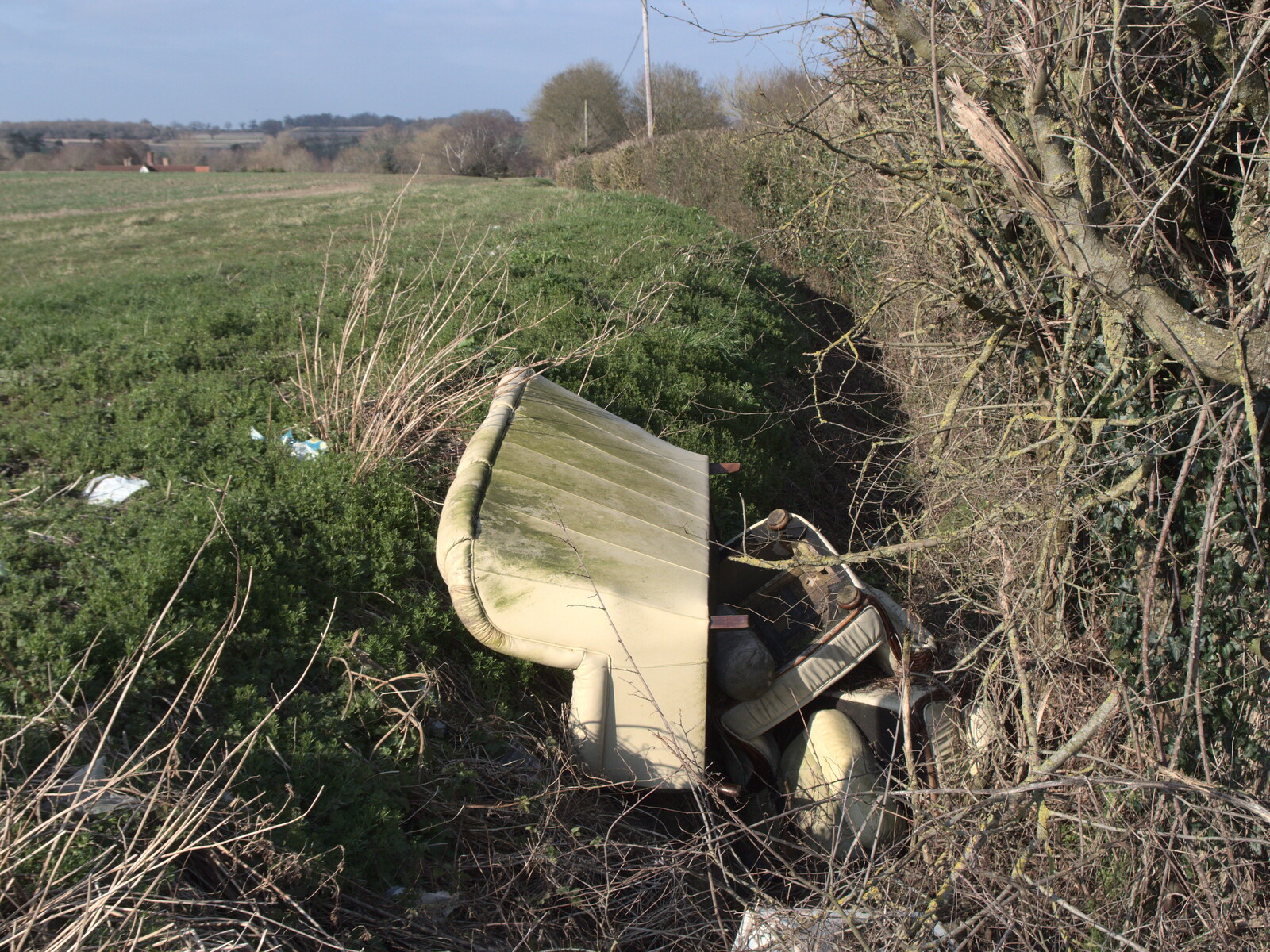Some knob has chucked a sofa in the hedge in Oakley from A Vaccine Postcard from Harleston, Norfolk - 22nd March 2021