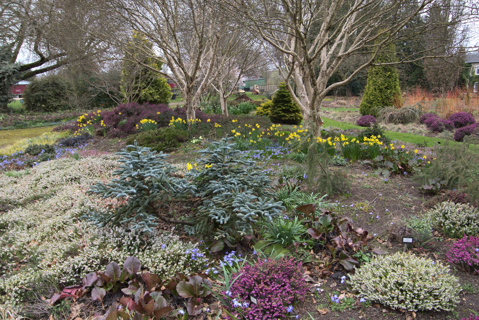 The Winter Garden at Bressingham from A Return to Bressingham Steam and Gardens, Bressingham, Norfolk - 28th March 2021