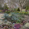 The Winter Garden at Bressingham, A Return to Bressingham Steam and Gardens, Bressingham, Norfolk - 28th March 2021