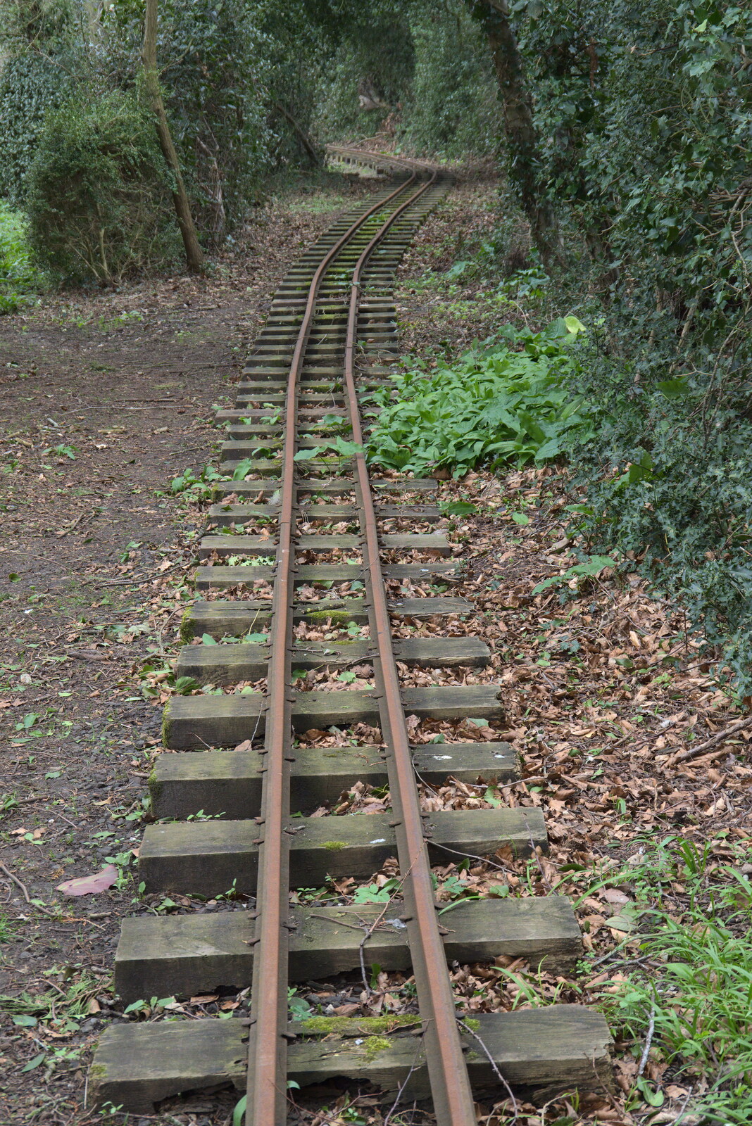 The Garden Line railway from A Return to Bressingham Steam and Gardens, Bressingham, Norfolk - 28th March 2021