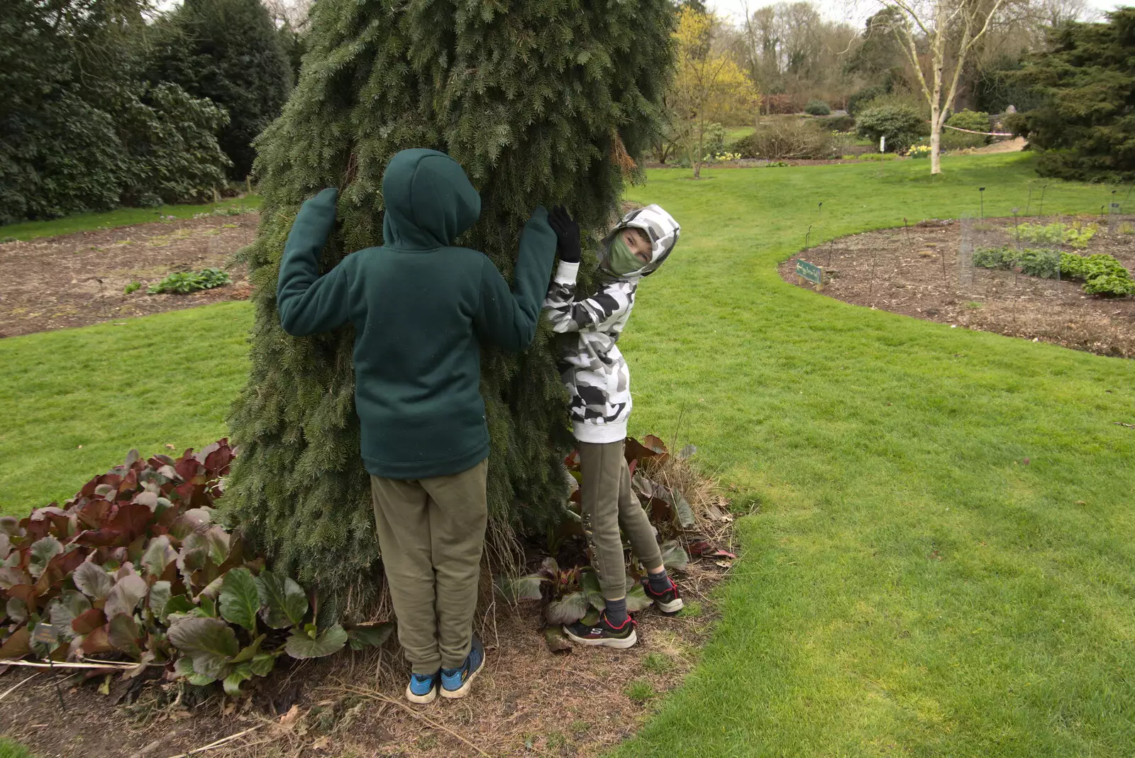 Fred and Harry hug a tree, from A Return to Bressingham Steam and Gardens, Bressingham, Norfolk - 28th March 2021