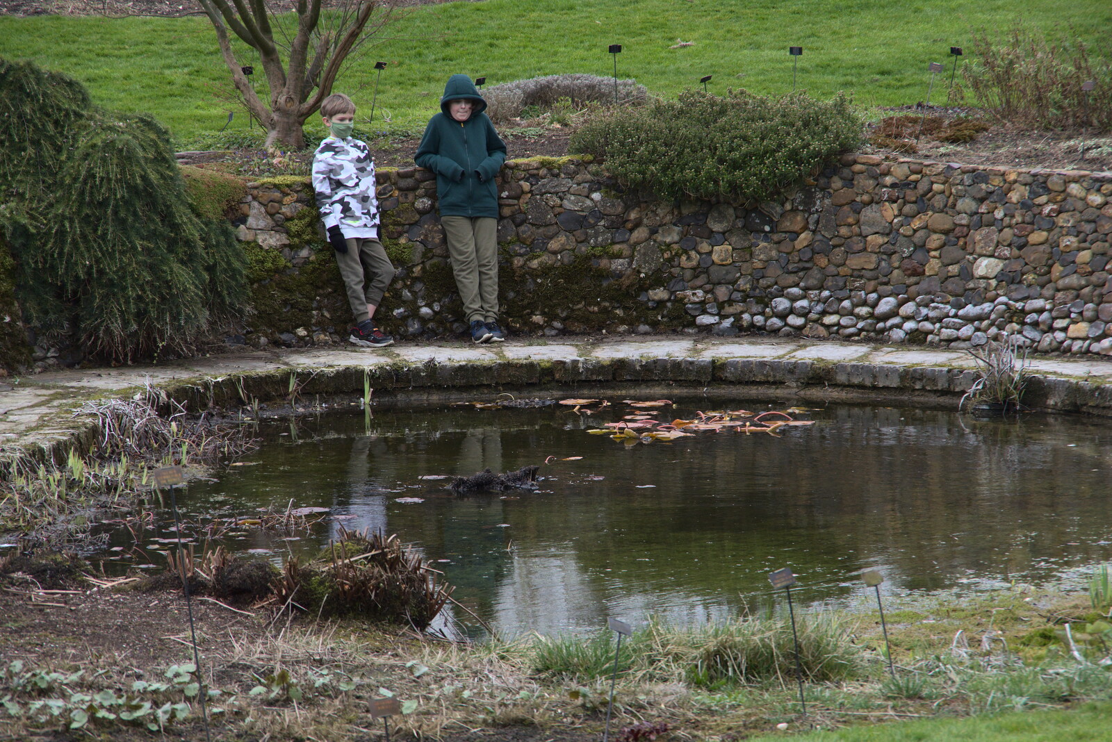 Harry and Fred consider the pond from A Return to Bressingham Steam and Gardens, Bressingham, Norfolk - 28th March 2021