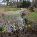Another pond down in Foggy Bottom, A Return to Bressingham Steam and Gardens, Bressingham, Norfolk - 28th March 2021