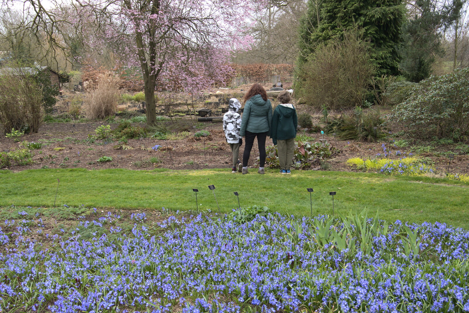 The gang look at some plants from A Return to Bressingham Steam and Gardens, Bressingham, Norfolk - 28th March 2021