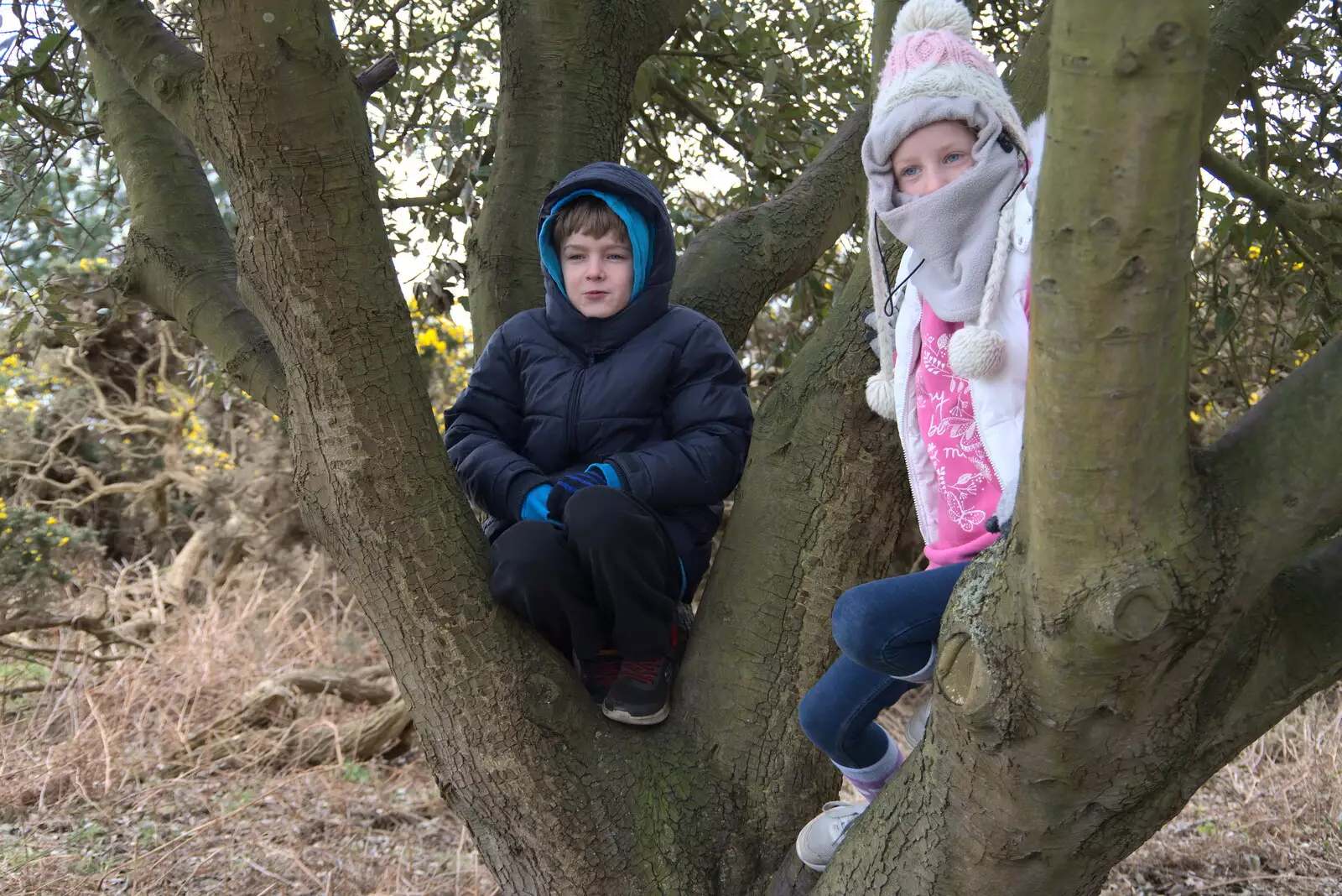 Harry's up a tree, from A Trip to Dunwich Beach, Dunwich, Suffolk - 2nd April 2021