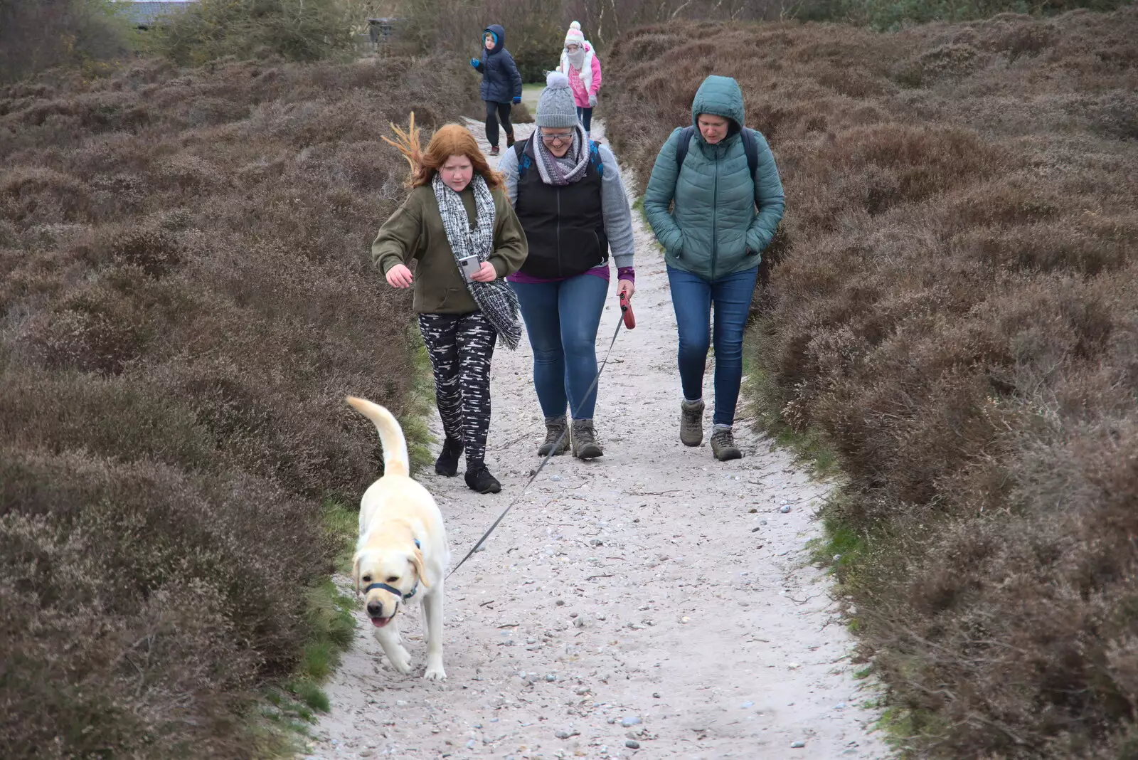 Dave strains on the lead, from A Trip to Dunwich Beach, Dunwich, Suffolk - 2nd April 2021