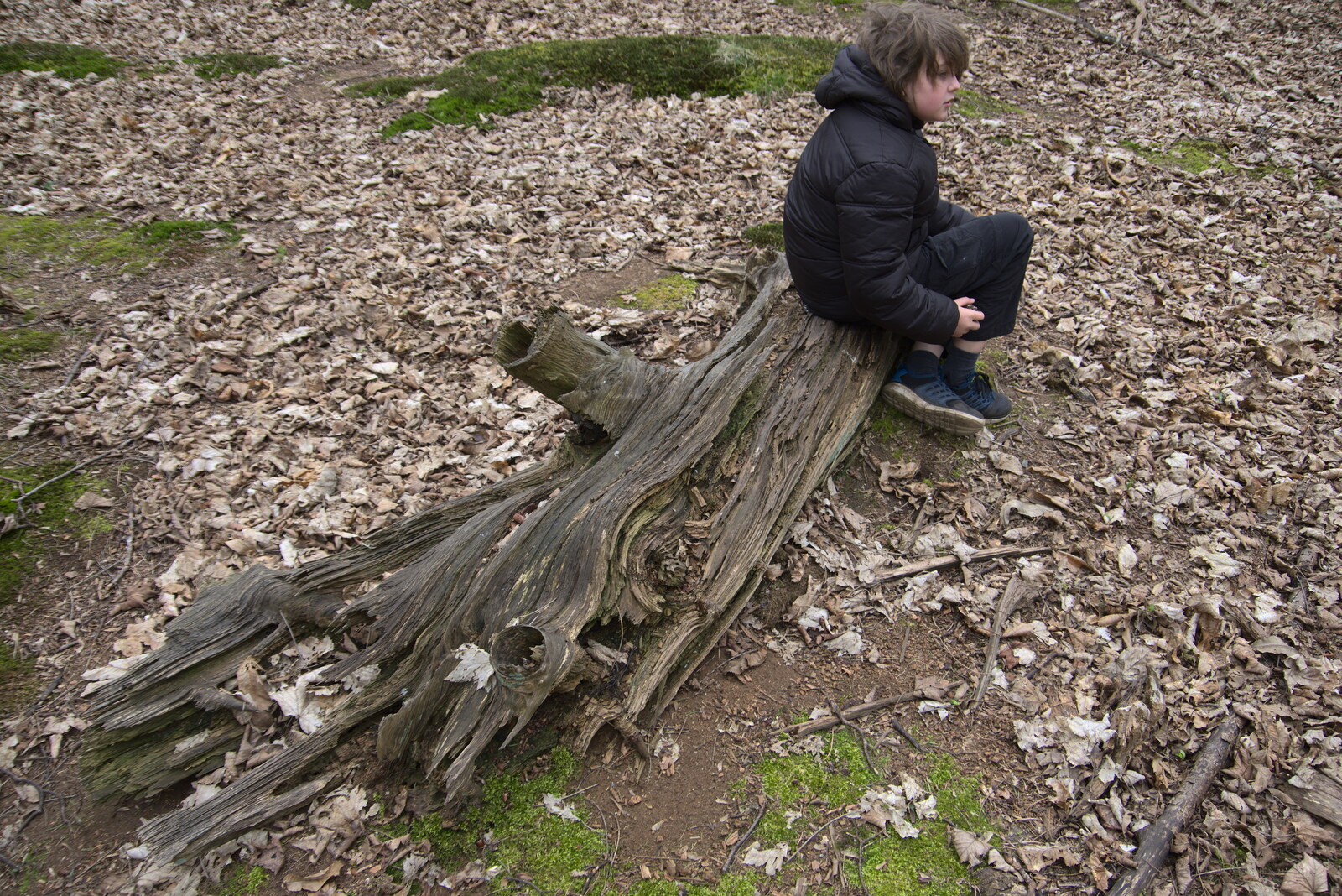 Fred sits on a log from A Trip to Dunwich Beach, Dunwich, Suffolk - 2nd April 2021