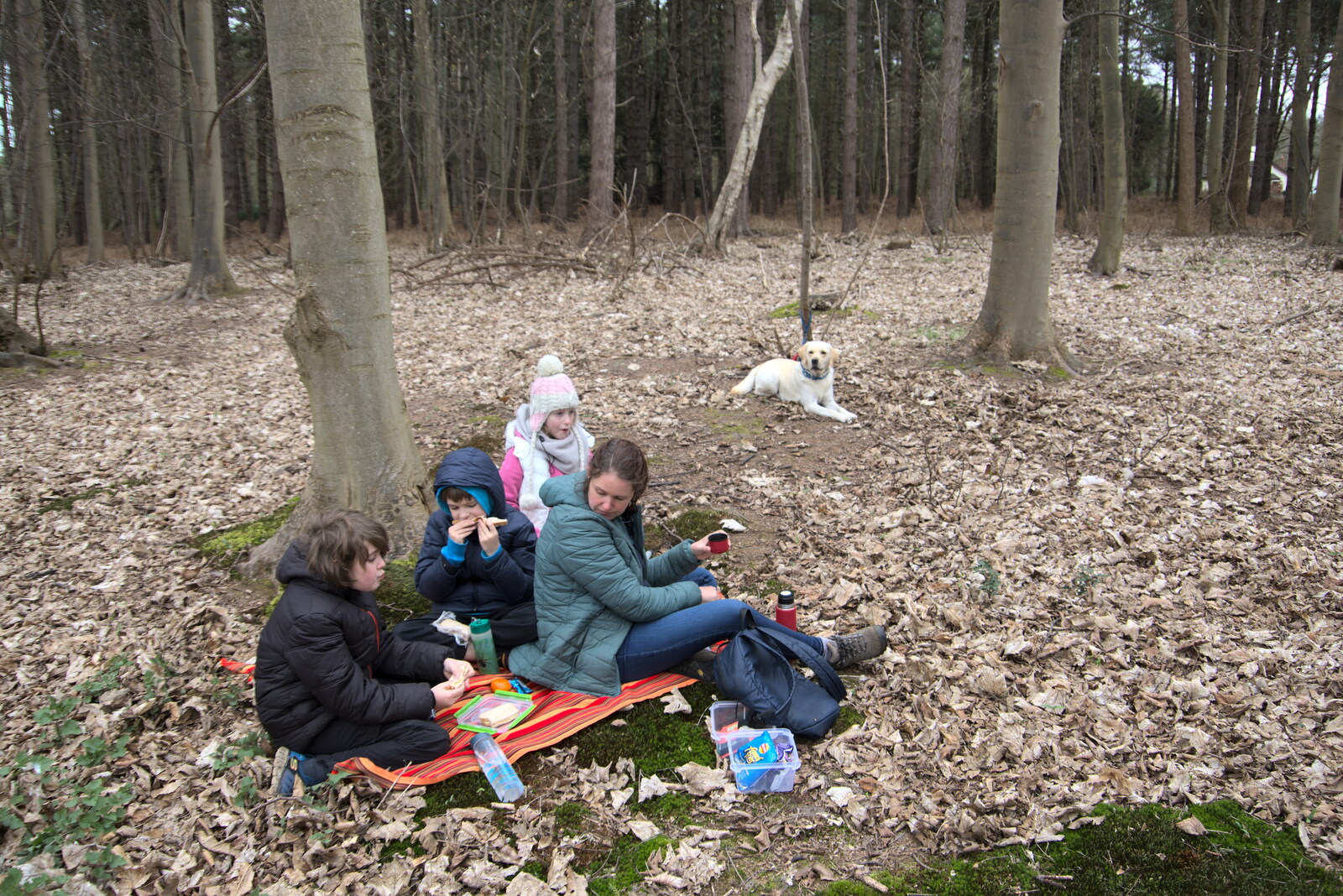 We stop for a picnic in the woods from A Trip to Dunwich Beach, Dunwich, Suffolk - 2nd April 2021