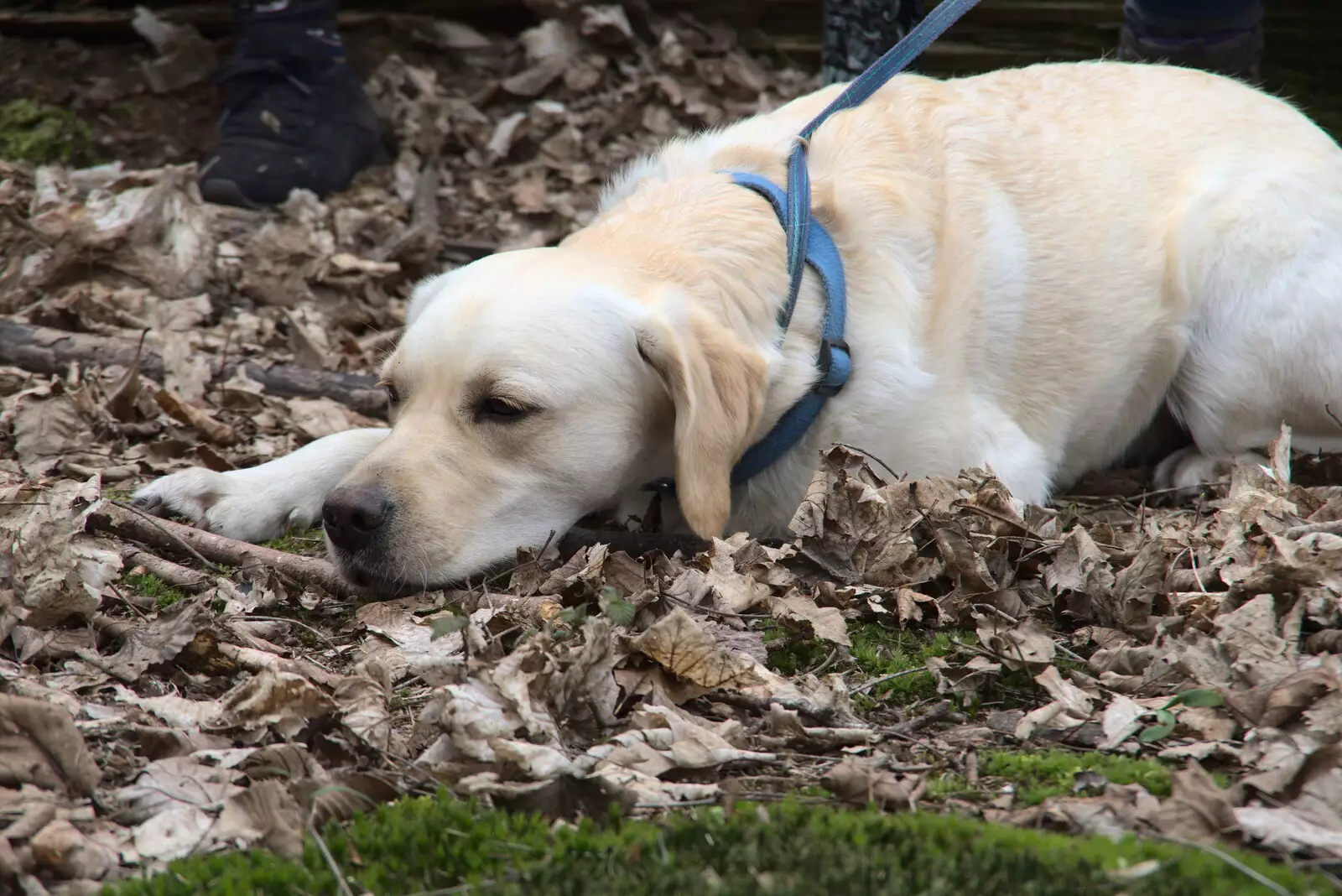 Dave has a little rest, from A Trip to Dunwich Beach, Dunwich, Suffolk - 2nd April 2021