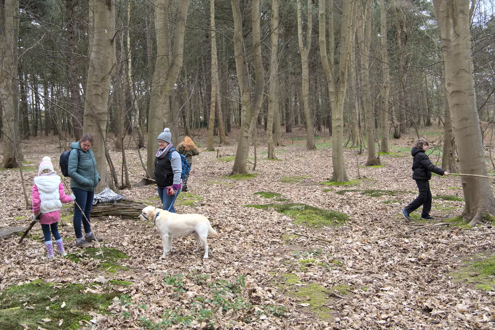 Fred whacks a tree with a stick, from A Trip to Dunwich Beach, Dunwich, Suffolk - 2nd April 2021