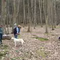 Fred whacks a tree with a stick, A Trip to Dunwich Beach, Dunwich, Suffolk - 2nd April 2021