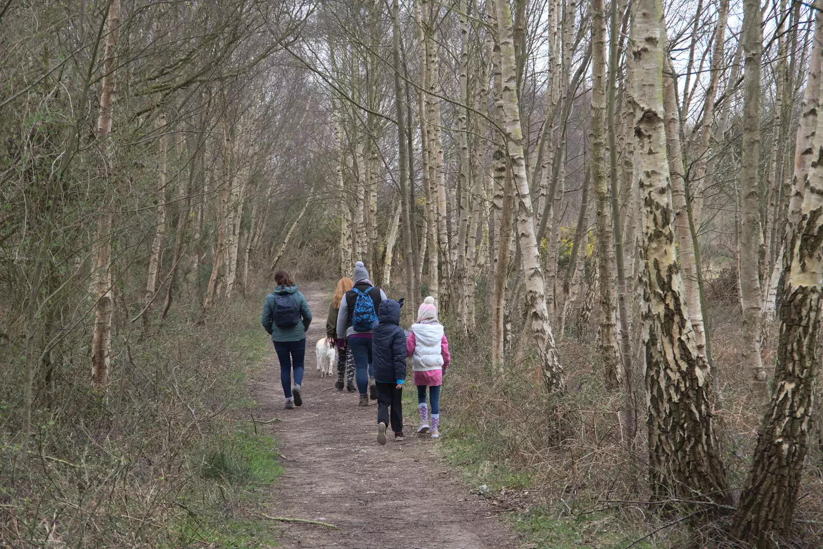 Walking through silver birch trees, from A Trip to Dunwich Beach, Dunwich, Suffolk - 2nd April 2021