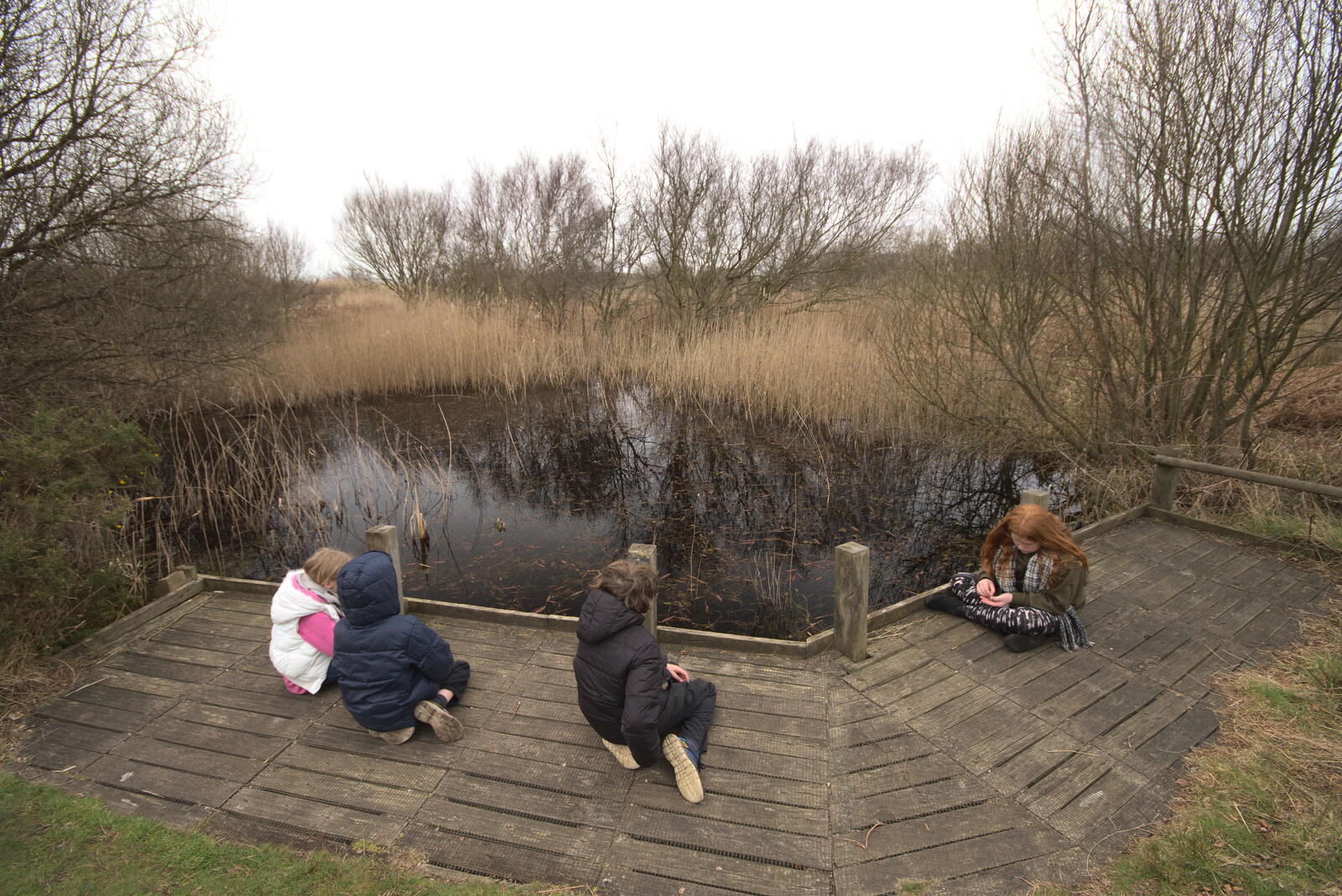 Sitting on the boards by the dark pond from A Trip to Dunwich Beach, Dunwich, Suffolk - 2nd April 2021