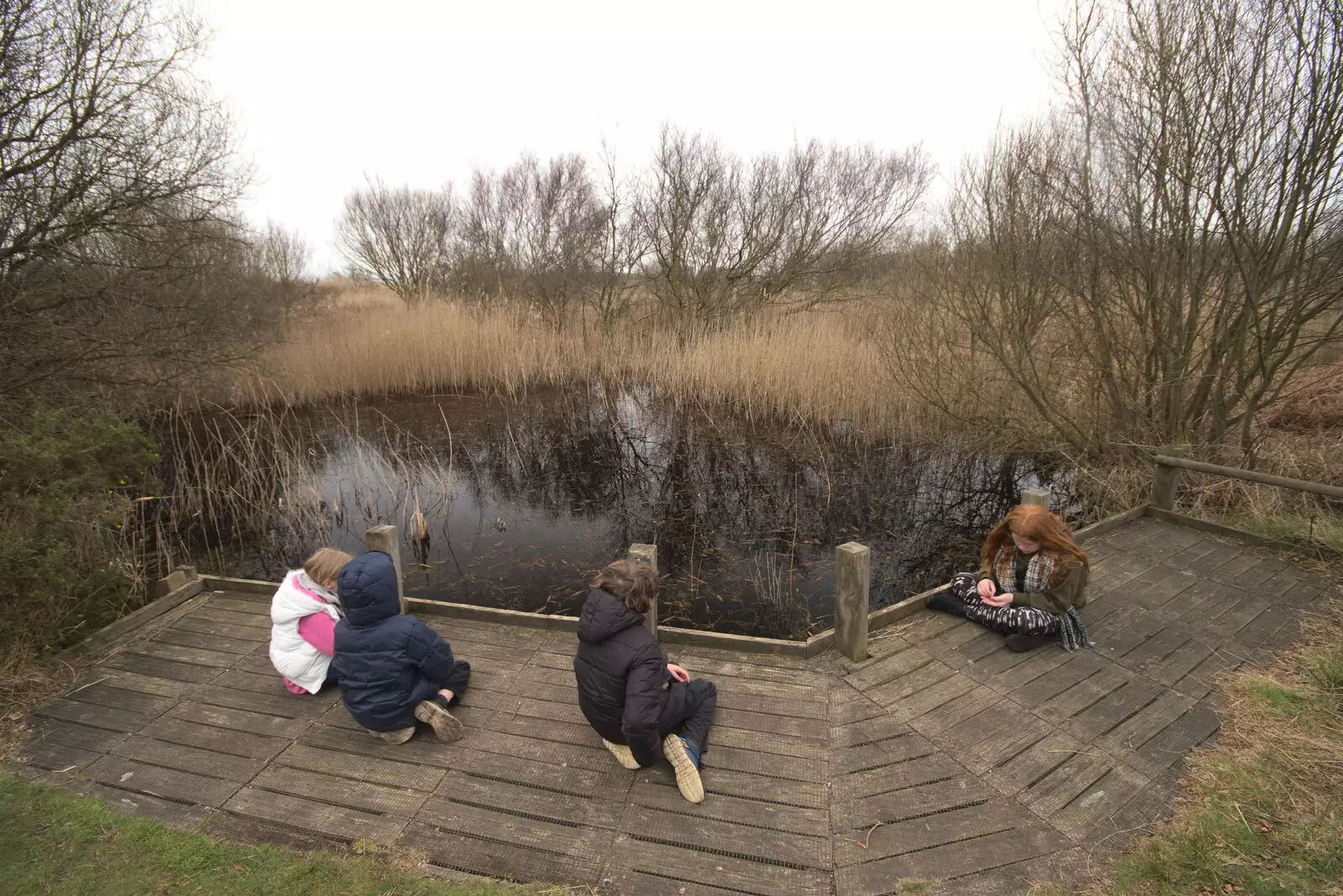 Sitting on the boards by the dark pond, from A Trip to Dunwich Beach, Dunwich, Suffolk - 2nd April 2021