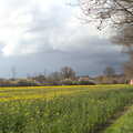 A field of oilseed on Thornham Road, Roadworks and Harry's Trampoline, Brome, Suffolk - 6th April 2021