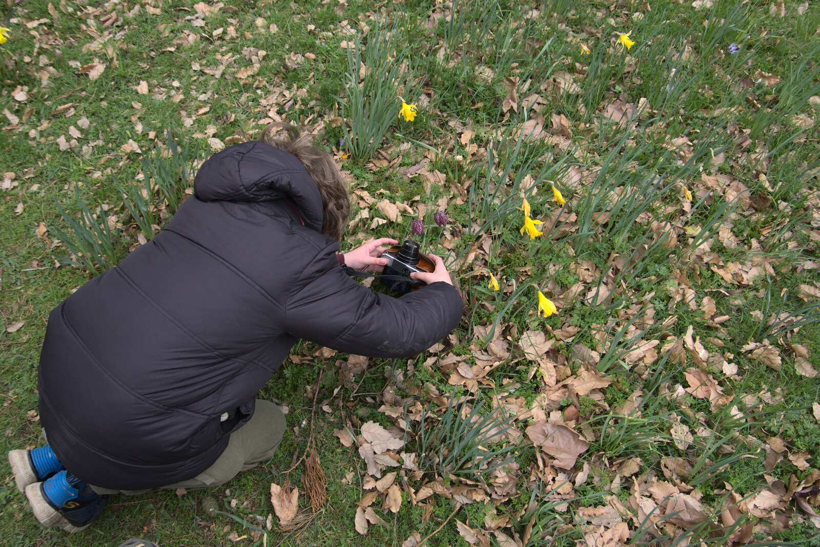 Fred takes a photo of an interesting flower from A Return to Ickworth House, Horringer, Suffolk - 11th April 2021