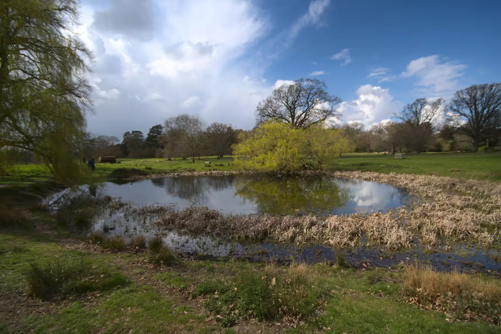 The pond at Ickworth, from A Return to Ickworth House, Horringer, Suffolk - 11th April 2021