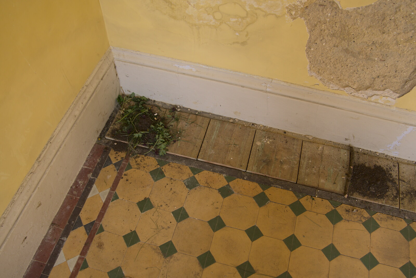 There's some garden on the floor from A Return to Ickworth House, Horringer, Suffolk - 11th April 2021