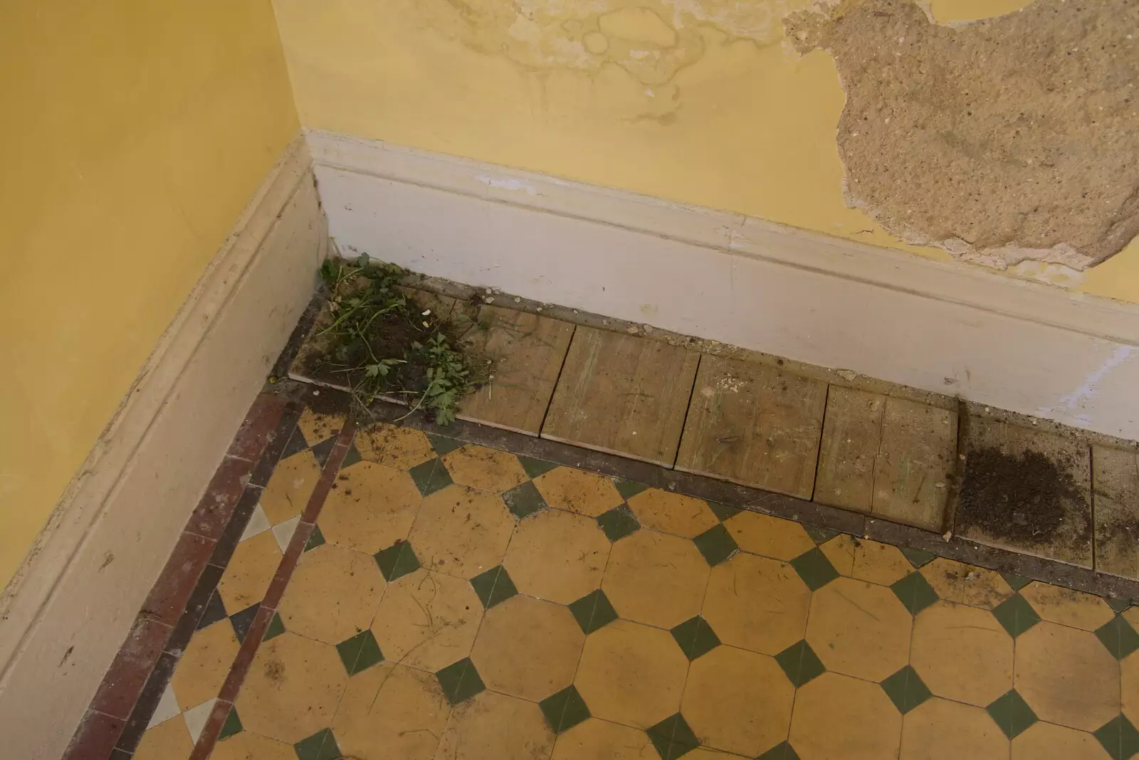 There's some garden on the floor, from A Return to Ickworth House, Horringer, Suffolk - 11th April 2021