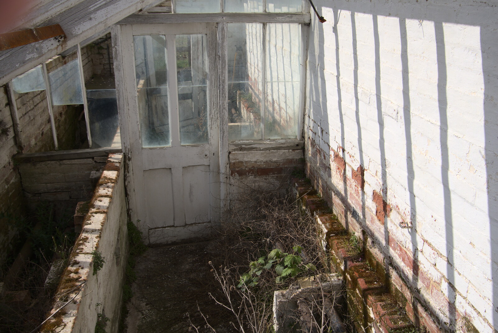 A derelict greenhouse from A Return to Ickworth House, Horringer, Suffolk - 11th April 2021
