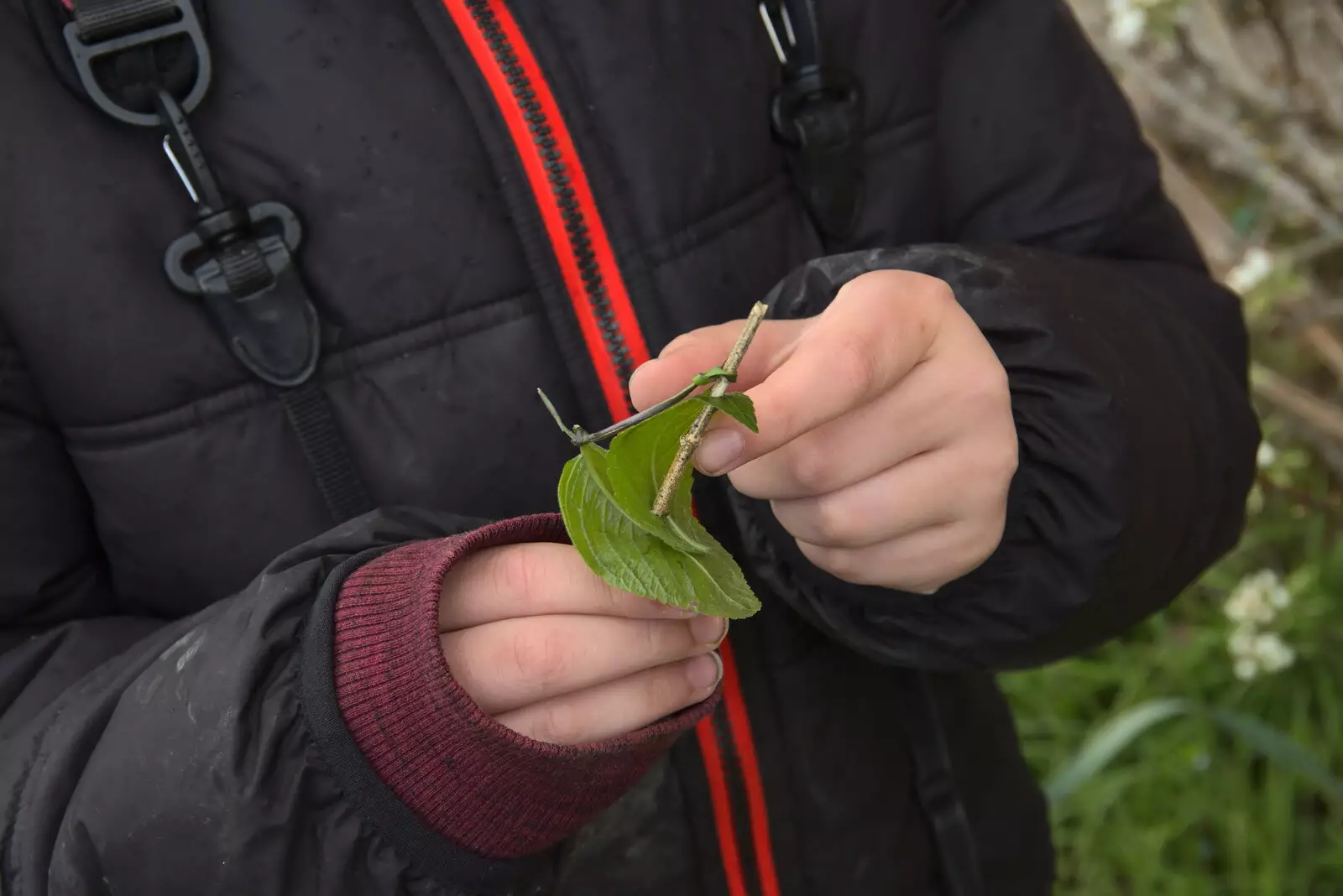 Fred's leaf-boat construction, from A Return to Ickworth House, Horringer, Suffolk - 11th April 2021