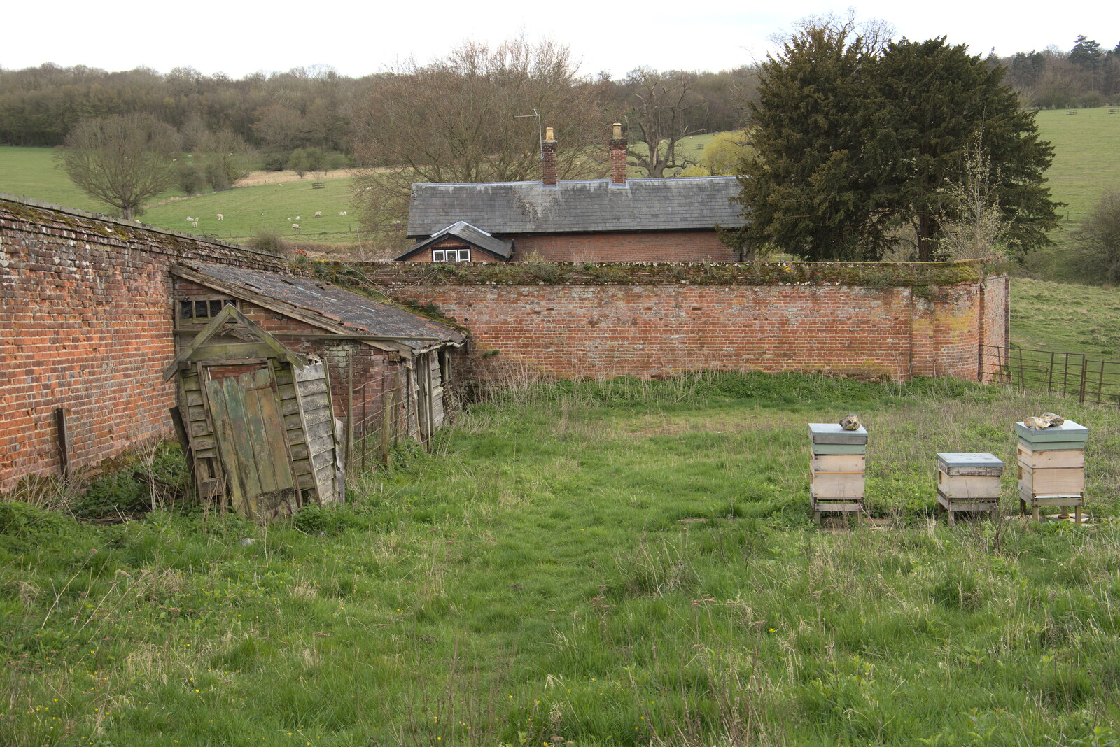 A small walled garden from A Return to Ickworth House, Horringer, Suffolk - 11th April 2021