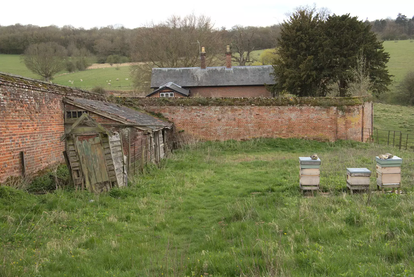 A small walled garden, from A Return to Ickworth House, Horringer, Suffolk - 11th April 2021