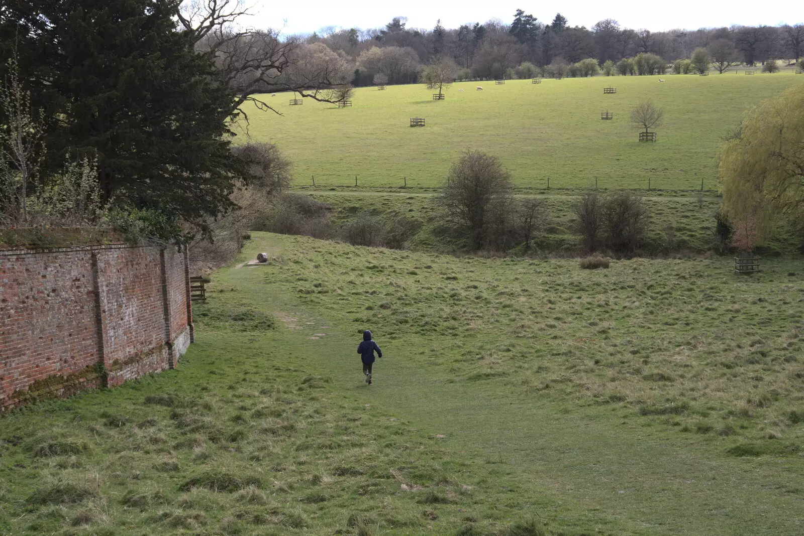 Harry legs it, from A Return to Ickworth House, Horringer, Suffolk - 11th April 2021