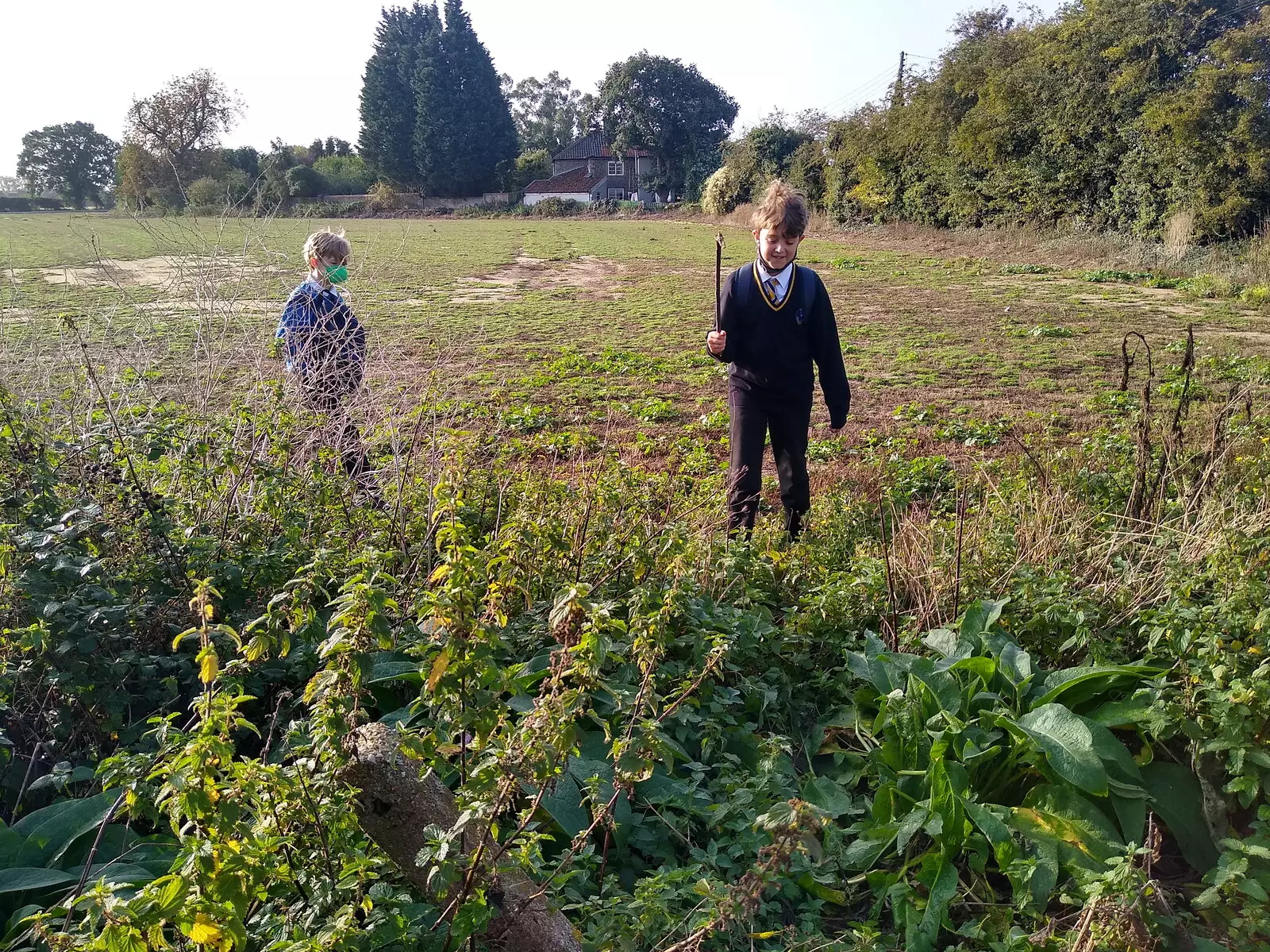 Harry and Fred wander into the field, from A Cameraphone Roundup, Brome and Eye, Suffolk - 12th April 2021