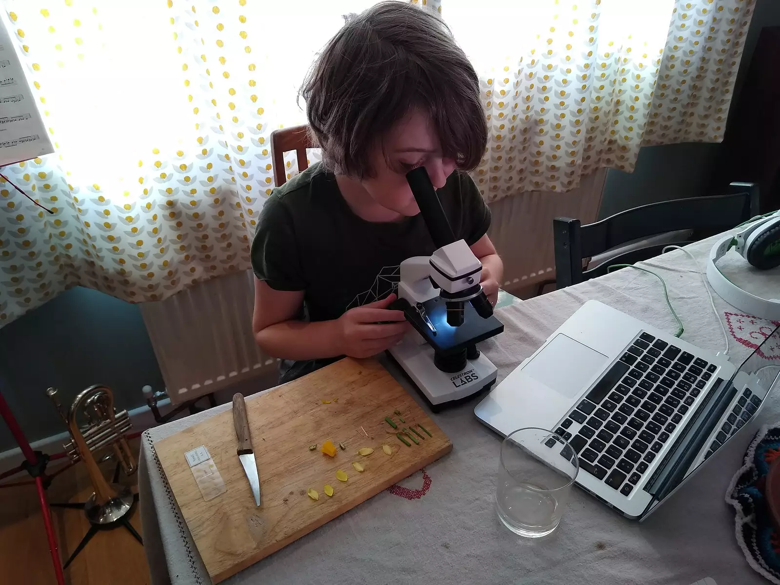 Fred chops things up for the microscope, from A Cameraphone Roundup, Brome and Eye, Suffolk - 12th April 2021