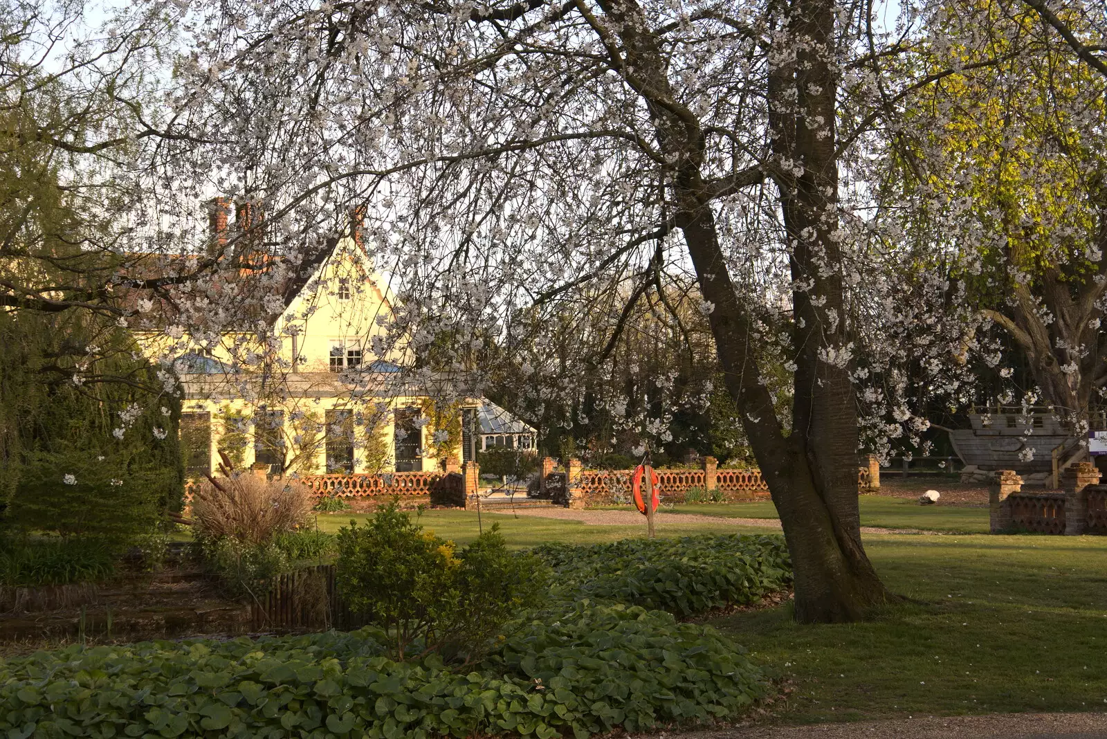 Blossom is out by the Oaksmere, from BSCC Beer Garden Hypothermia, Hoxne and Brome, Suffolk - 22nd April 2021