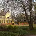 Blossom is out by the Oaksmere, BSCC Beer Garden Hypothermia, Hoxne and Brome, Suffolk - 22nd April 2021