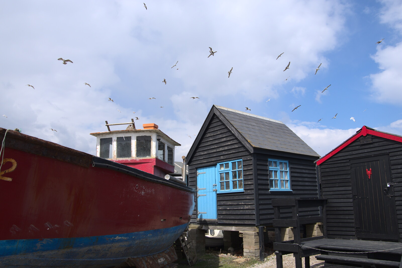 Gulls explode into the air over the huts from A Chilly Trip to the Beach, Southwold Harbour, Suffolk - 2nd May 2021