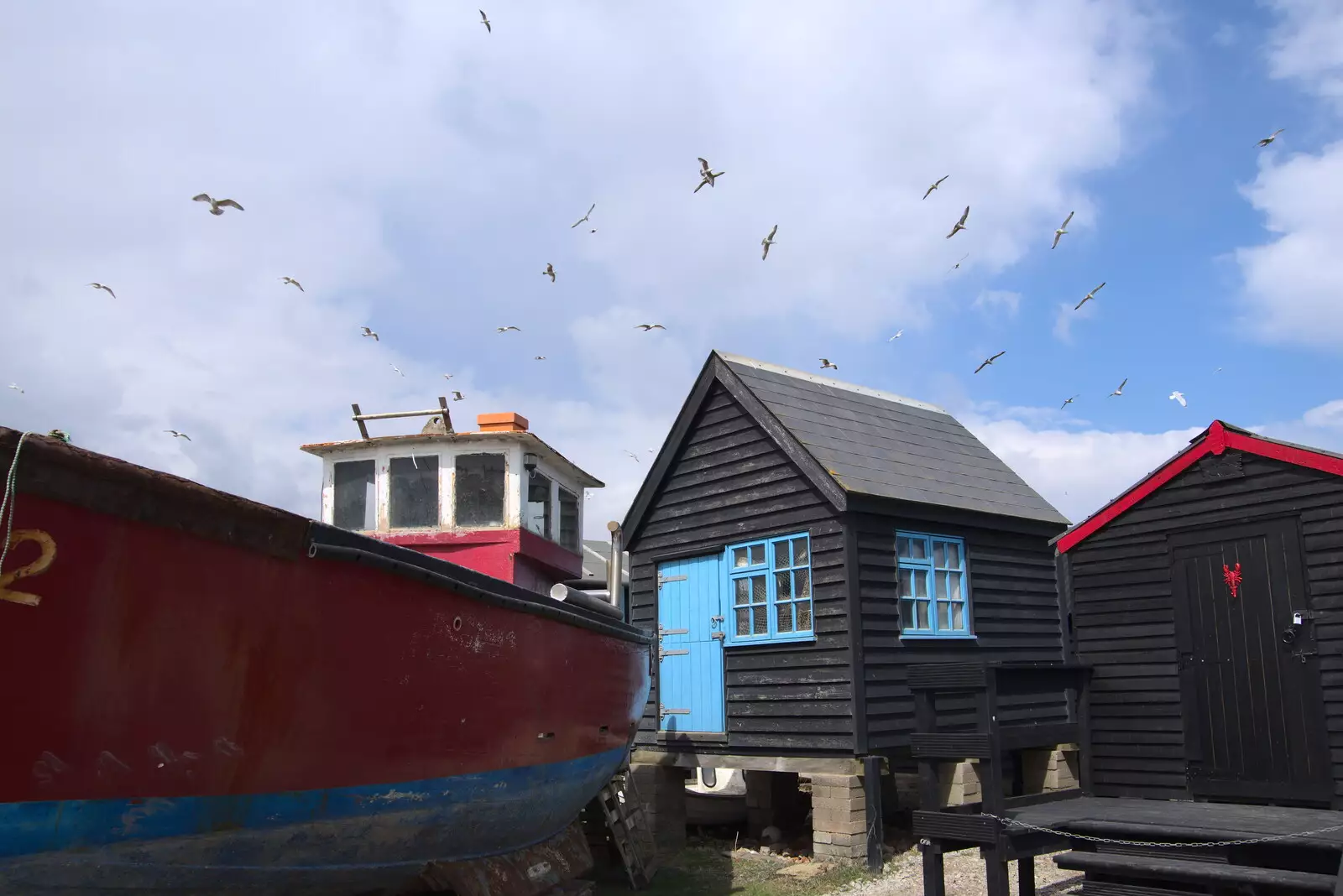 Gulls explode into the air over the huts, from A Chilly Trip to the Beach, Southwold Harbour, Suffolk - 2nd May 2021