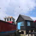 Gulls explode into the air over the huts, A Chilly Trip to the Beach, Southwold Harbour, Suffolk - 2nd May 2021