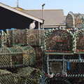 A wood pigeon on lobster pots, A Chilly Trip to the Beach, Southwold Harbour, Suffolk - 2nd May 2021