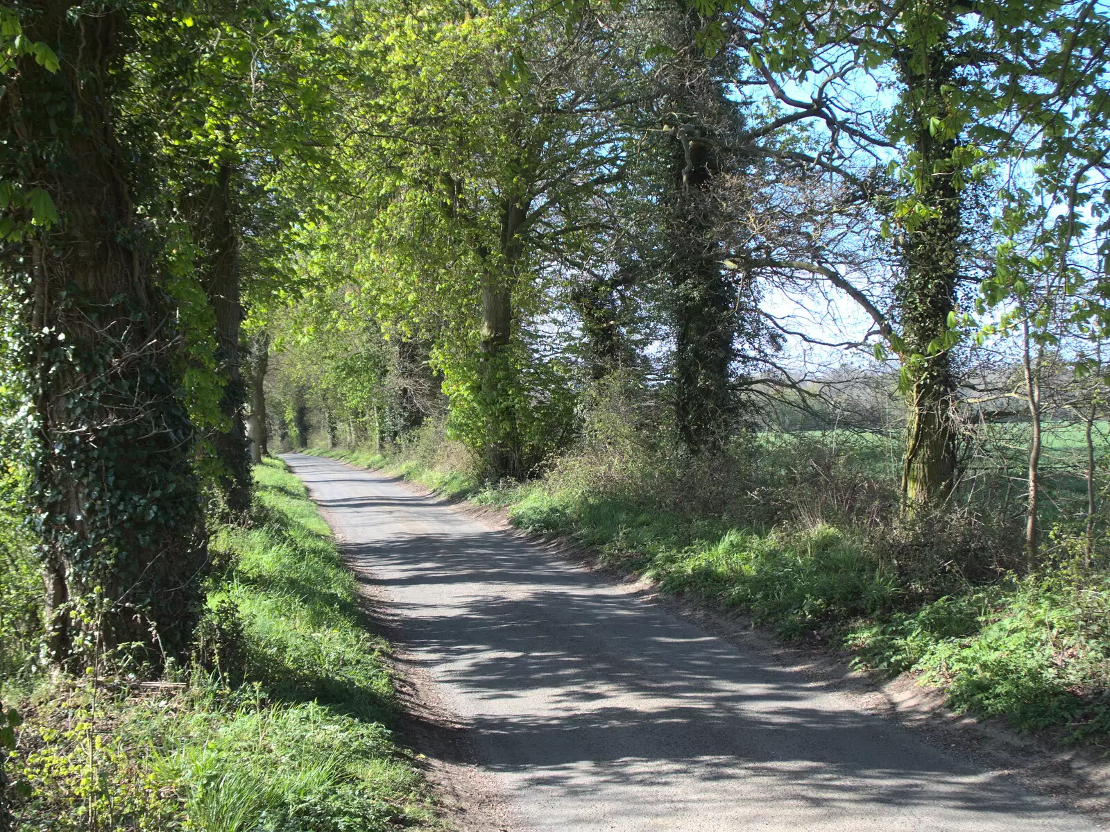 The road to Thornham, from A Vaccination Afternoon, Swaffham, Norfolk - 9th May 2021