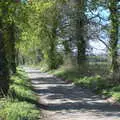 The road to Thornham, A Vaccination Afternoon, Swaffham, Norfolk - 9th May 2021