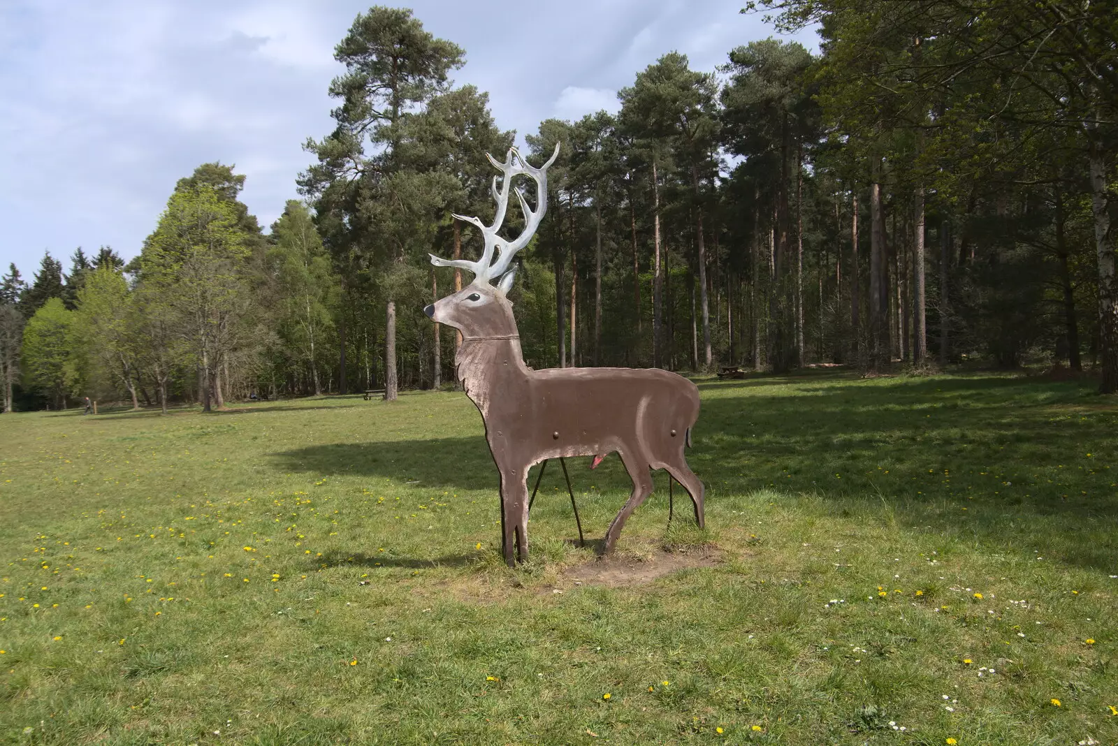 A stag with a red willy at Lynford Stag, from A Vaccination Afternoon, Swaffham, Norfolk - 9th May 2021