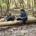 Isobel sits on a log, A Vaccination Afternoon, Swaffham, Norfolk - 9th May 2021