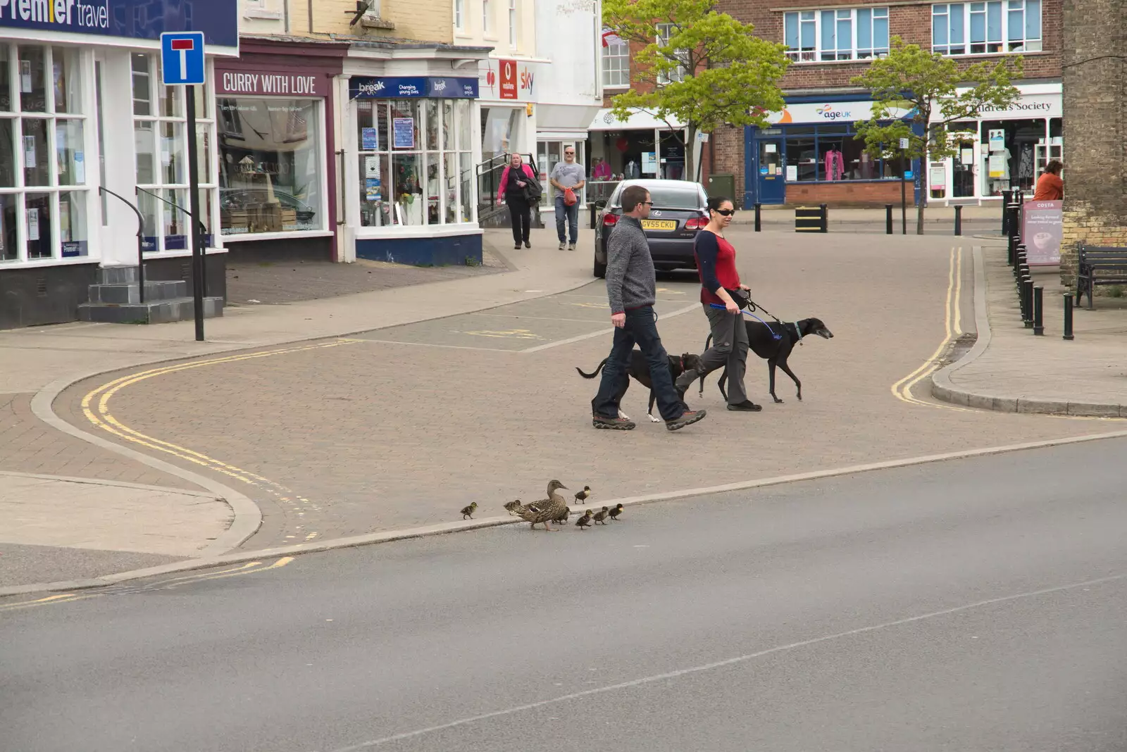 A family of ducks crosses the road, from A Vaccination Afternoon, Swaffham, Norfolk - 9th May 2021