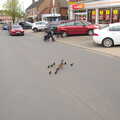 The traffic is stopped by the crossing ducks, A Vaccination Afternoon, Swaffham, Norfolk - 9th May 2021