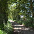 The lane to Thornham is in full leaf, The BSCC at the Ampersand Tap, Sawmills Road, Diss, Norfolk - 20th May 2021